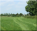 2009 : Upper Swinley Farm