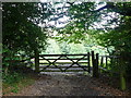 Gate on Anstie Lane, Coldharbour, Surrey (2)