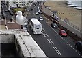 Seagull looking toward Marine Road