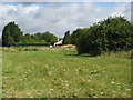 West Grafton: Former Grafton and Burbage railway station