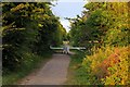 The National Cycle Network at Abingdon