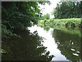 N3850 : Royal Canal at Ballina, Co. Westmeath by JP