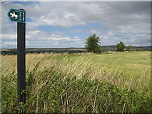 SU0460 : Etchilhampton: Wiltshire County Council bridleway sign by Nigel Cox