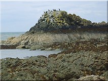 SH2987 : Cormorant Rock, Porth Fudr by Eric Jones