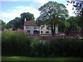 Carshalton Village pond