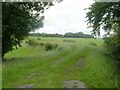 Footpath - Leeds Road