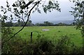 Field near East Lydeard