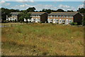 Houses at Walmer