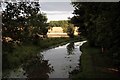 Chesterfield Canal looking towards Clayworth