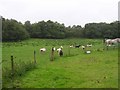 Tattykeel Townland