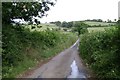 South end of Branscombe Lane