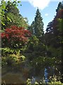 The Japanese garden at Slaley Hall Hotel