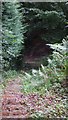 Footpath going steeply down to cross pavement