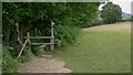 Footpath enters trees south of Fernhurst