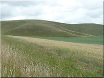 SU0764 : Downland looking towards Tan Hill by Russel Wills