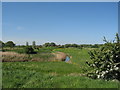 Birket Tributary, Bidston