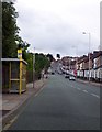 Argyle Street South, Birkenhead