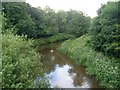 River Kelvin from Torrance Bridge