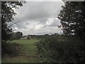 Farm near Hurst Wickham