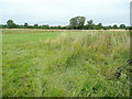 Farmland east of the A419