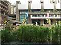 Barbican lake and water plants