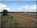 Wirral Farmland and Footpath