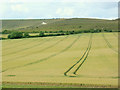 SU1162 : 2009 : Wheatfield with patterns by Maurice Pullin