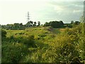 Embankment of dismantled Waverley Railway