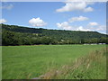 Fields towards Swaleview Caravan Site