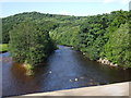 River Swale from Lowenthwaite bridge