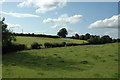 Evening Shadows on Farmland