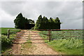 Barn in a field