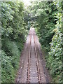 Railway Near North Vatson Farm