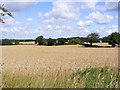 TL2301 : Farmland off the B556 Mutton Lane, Potter Bar by Geographer