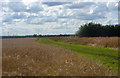 Footpath west towards the A140