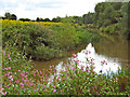 The River Tone at Hankridge