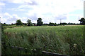 A field near Henry VIII Farm, Myton, Warwick