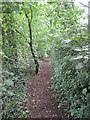 View of Footpath near Cherry Farm