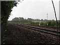 Railway bordering the Jupiter Urban Wildlife Centre