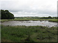 Tidal Marsh Near Monkton