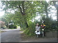 Lord Nelson and Lady Hamilton in Salterns Lane