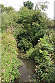 Stream at Havering Farm