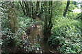 Stream near Crastock Manor