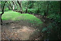 Stream at Crastock Bridge