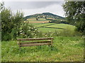 Craig Danywenallt, viewed from Bwlch