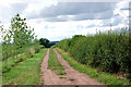 Track running north from Wood Farm