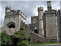 SX9683 : Powderham Castle by Roger Cornfoot