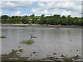 Across The Western Cleddau