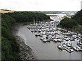 Marina From The Cleddau Bridge Road