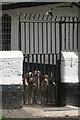 Foxhounds at the Western Hunt Kennels